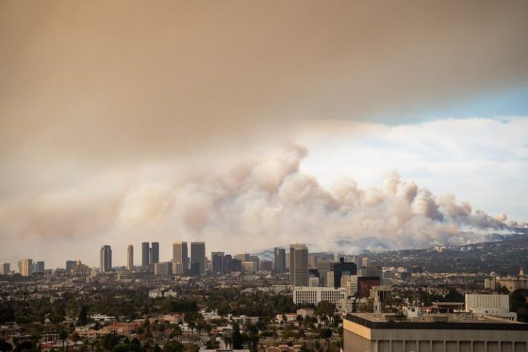 Wildfire Smoke Exposure May Raise Autism Risk in Kids | Exbio